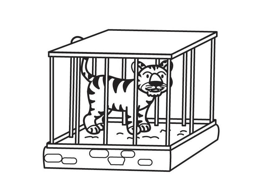 Página para colorir tigre na jaula 