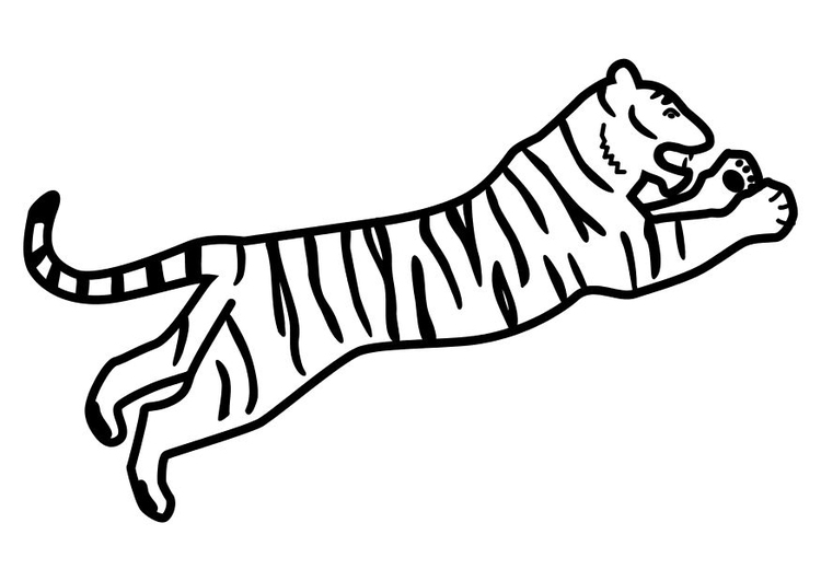 Página para colorir tigre pulando