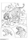 Página para colorir tigre