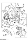 P�ginas para colorir tigre