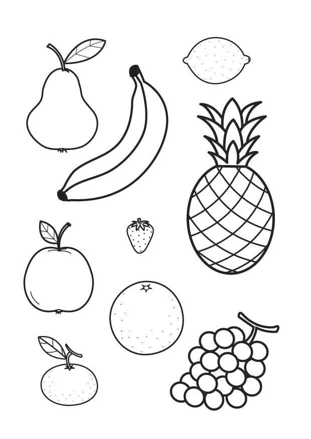 Página para colorir todas as frutas juntas 
