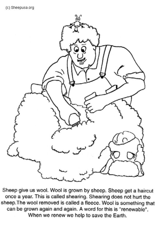 Página para colorir tosa da ovelha