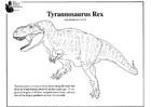 trex