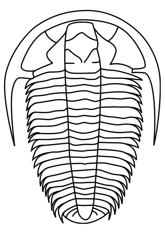 Página para colorir trilobite