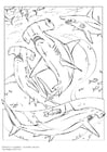 Página para colorir tubarÃ£o martelo