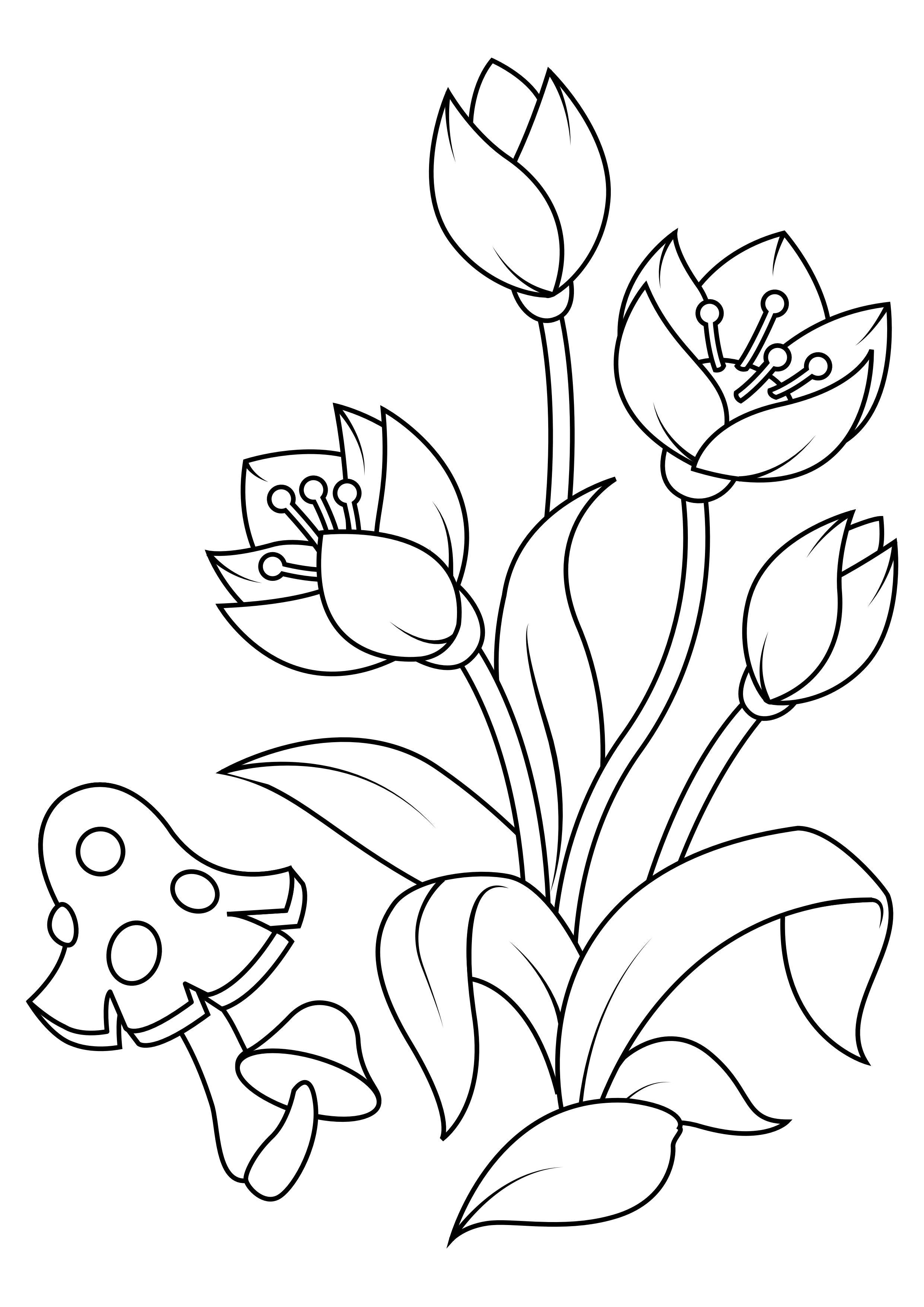 Página para colorir tulipas com cogumelo