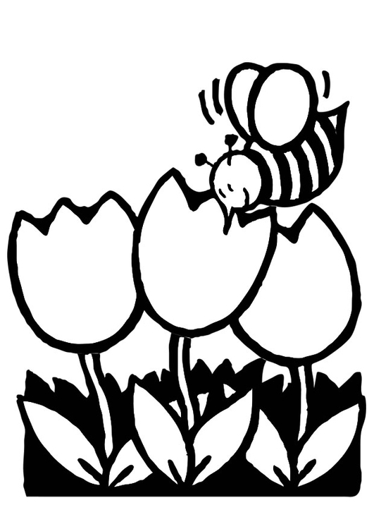 Página para colorir tulipas com uma abelha 