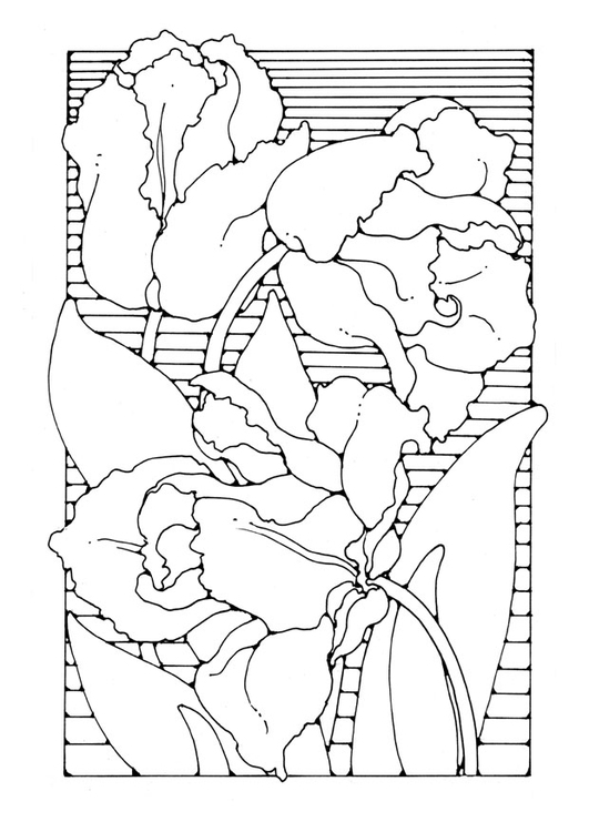 Página para colorir tulipas