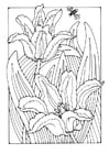 Página para colorir tulipas