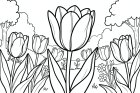 tulipas
