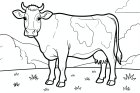 uma vaca no prado
