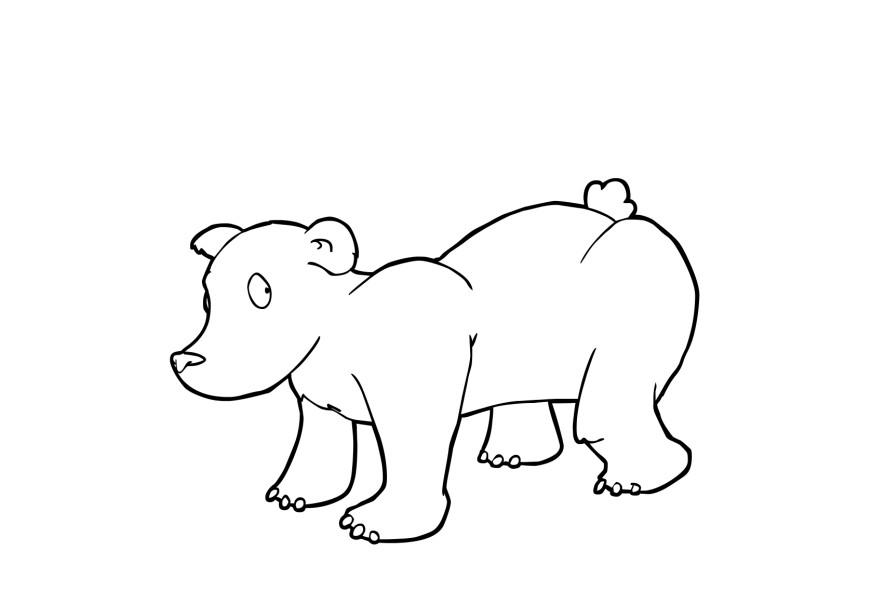 Página para colorir urso
