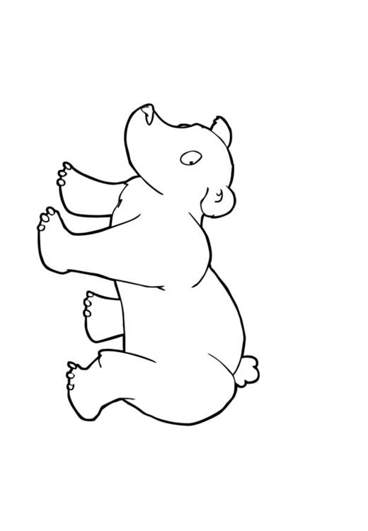 urso