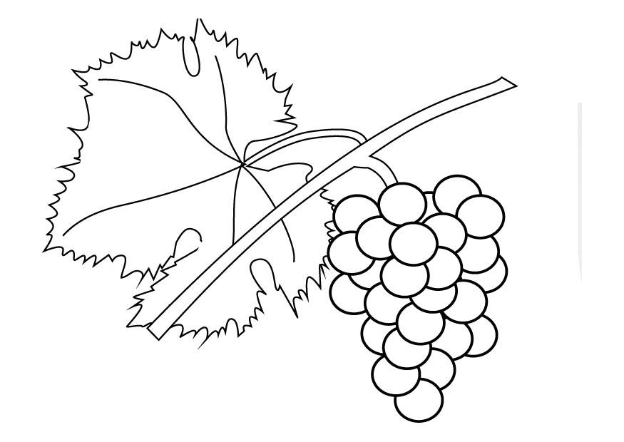 Página para colorir uvas na parreira 