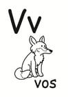 v