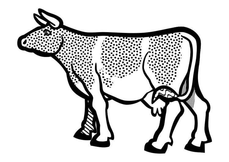 Página para colorir vaca