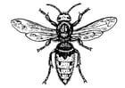Página para colorir vespa - mosca-varegeira