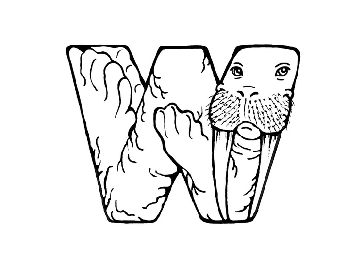 Página para colorir w-walrus