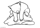 paginas-para-colorir wombat